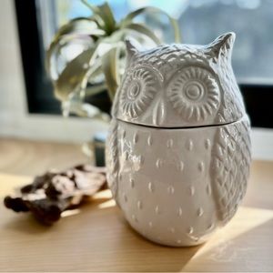 West Elm Owl Cookie Jar